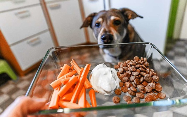 Ab sofort nur noch Karotten, Joghurt u... Eine Radikaldit ist keine gute Idee.  | Foto: Markus Scholz (dpa)