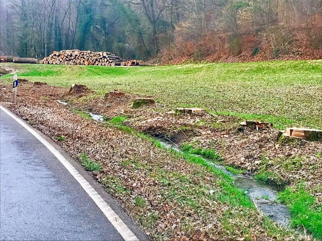 Wo einst die Pappeln an der Kreisstra...n, pltschert jetzt nur noch der Bach.  | Foto: Jutta Schtz