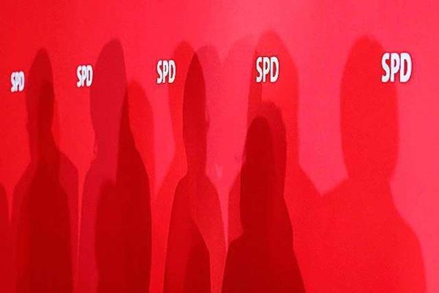 Die Liste des SPD-Ortsvereins Rheinfelden fr die Kommunalwahlen steht