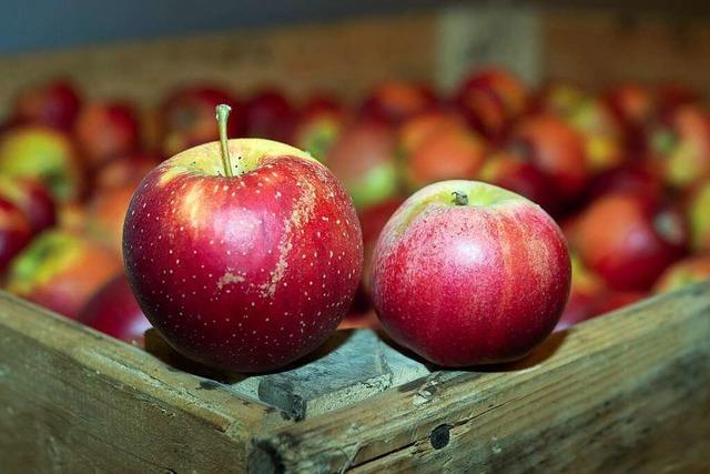 Äpfel essen: Warum eine Allergie nicht das Aus bedeutet