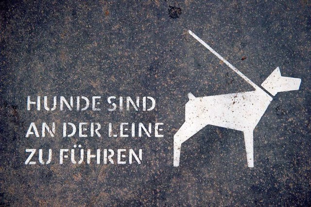 Schriftzug auf einer Strae in Berlin:... freilaufende Hunde in den Weinbergen.  | Foto: Daniel Naupold