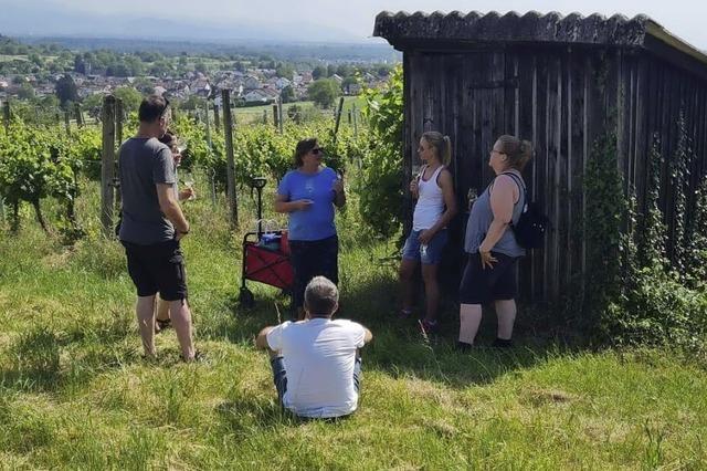 Ausbildung zum Breisgauer Weinguide