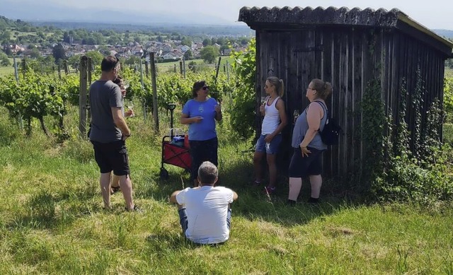 Die Ausbildung zum Weinguide findet auch vor Ort im Weinberg statt.  | Foto: Andrea Schlenk/VHS
