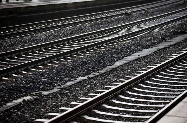 Vertreter der Bahn haben im Gemeindera...um Ausbau der Rheintalbahn informiert.  | Foto: Friso Gentsch