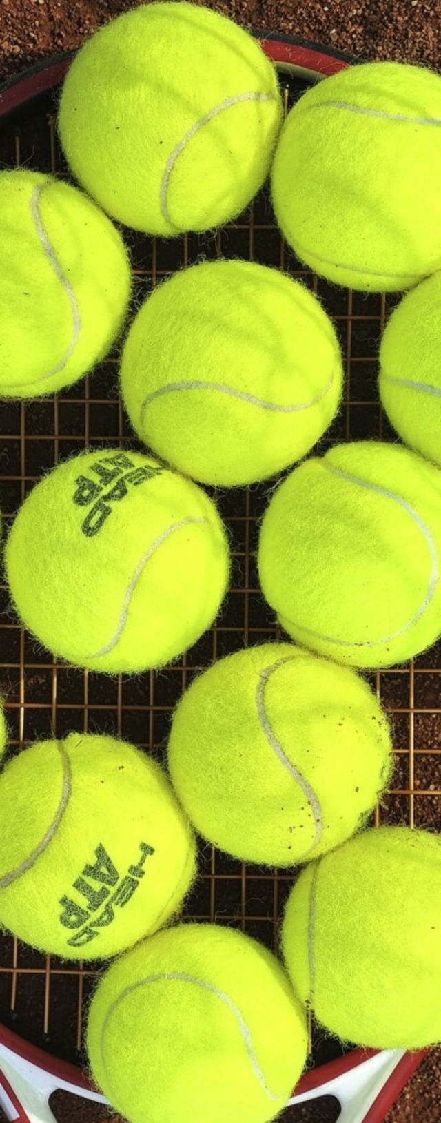 Noch nie waren Tennisblle in Fuballs...begehrt wie in den vergangenen Wochen.  | Foto: Michael Bamberger