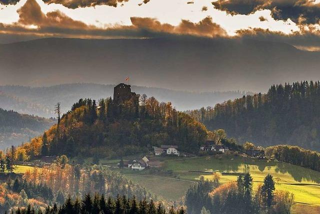 Blick auf die Burg Hohengeroldseck bei Seelbach