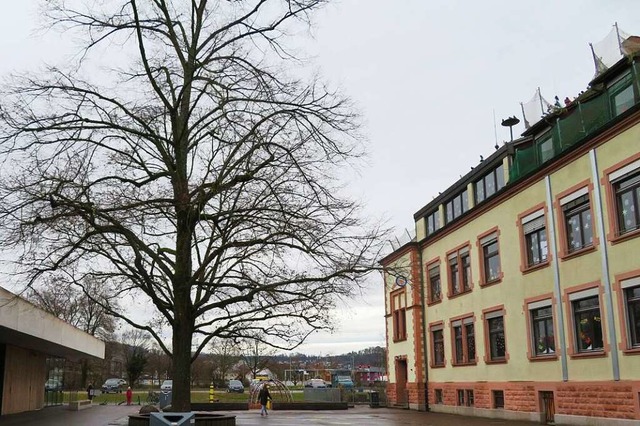 Die Grundschule Tumringen wird saniert...oll in Containern unterrichtet werden.  | Foto: Peter Gerigk