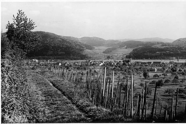 Dachbodenschtze zum Weinbau in Buchholz gesucht