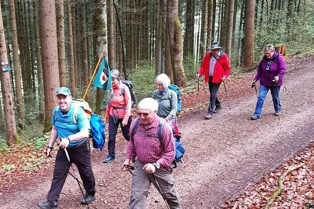 Rekord bei der Wandererzahl beim Schwarzwaldverein Elzach-Winden