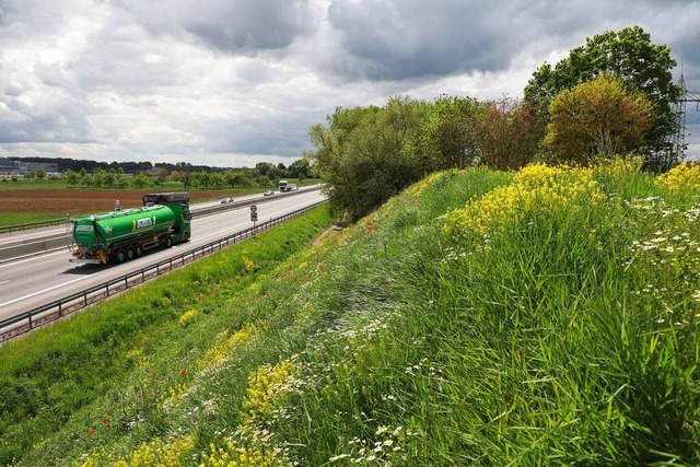 Wann wird die Lcke im Lrmschutzwall geschlossen?  | Foto: Christoph Breithaupt