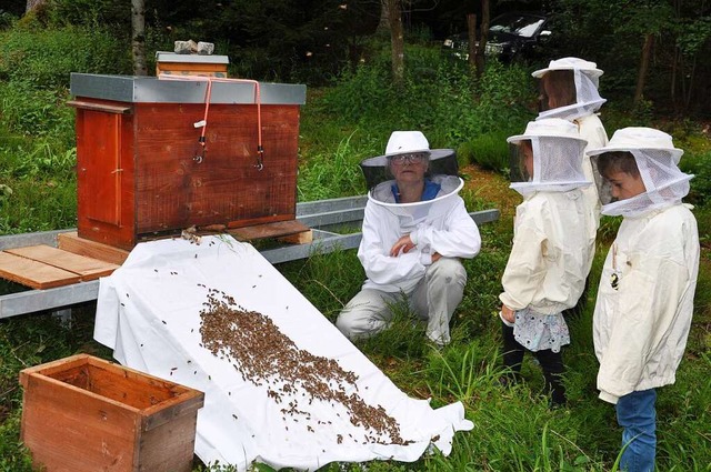 Wenn ein  Bienenvolk  umzieht.  | Foto: Jutta Schtz