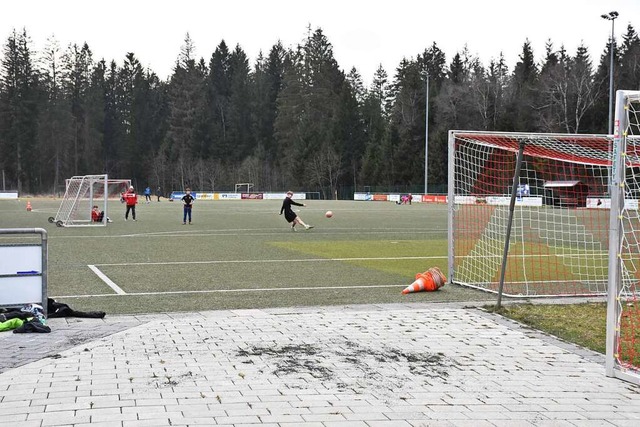 Noch in diesem Jahr wird der Sportvere...nen Kunstrasenplatz komplett sanieren.  | Foto: Thomas Biniossek