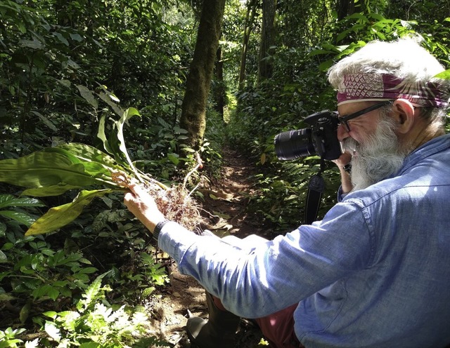 Der Botaniker Martin Cheek ist in Kame...n &#8211; er arbeitet fr Kew Gardens.  | Foto: Bruce Murphy RBG Kew