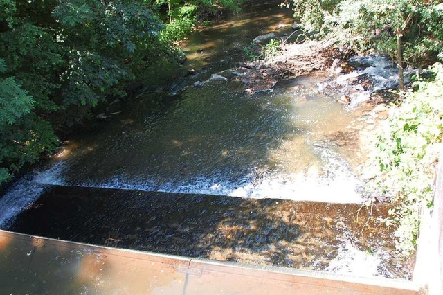 Das Binzener Wuhr soll umgebaut werden... der Mhlbach gengend Wasser bekommt.  | Foto: Herbert Frey