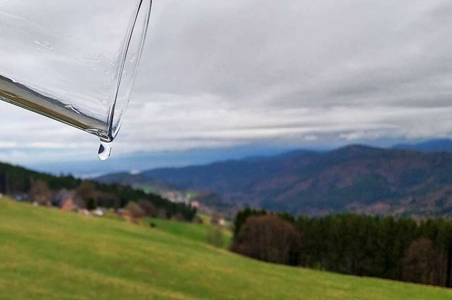 Wenn die Quellen am Schauinsland kein ...braucht nicht nur Horben einen Plan B.  | Foto: Sophia Hesser