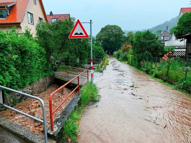 Immer wieder kommt es am Kohbach zu berflutungen, das Foto ist vom Juni 2021.  | Foto: FFW Waldkirch