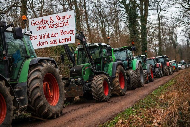 Die Bauern haben beim Besuch von Bunde...nstriert &#8211; und waren enttuscht.  | Foto: Christoph Schmidt (dpa)