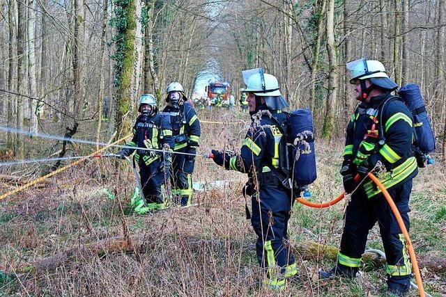 Wie die Feuerwehren aus Meienheim, Lahr, Neuried und Offenburg einen Waldbrand bekmpfen
