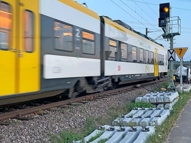 Auf der Breisgau-S-Bahn sind die Zugte... zu den Stozeiten in berfllte Zge.  | Foto: Mario Schneberg