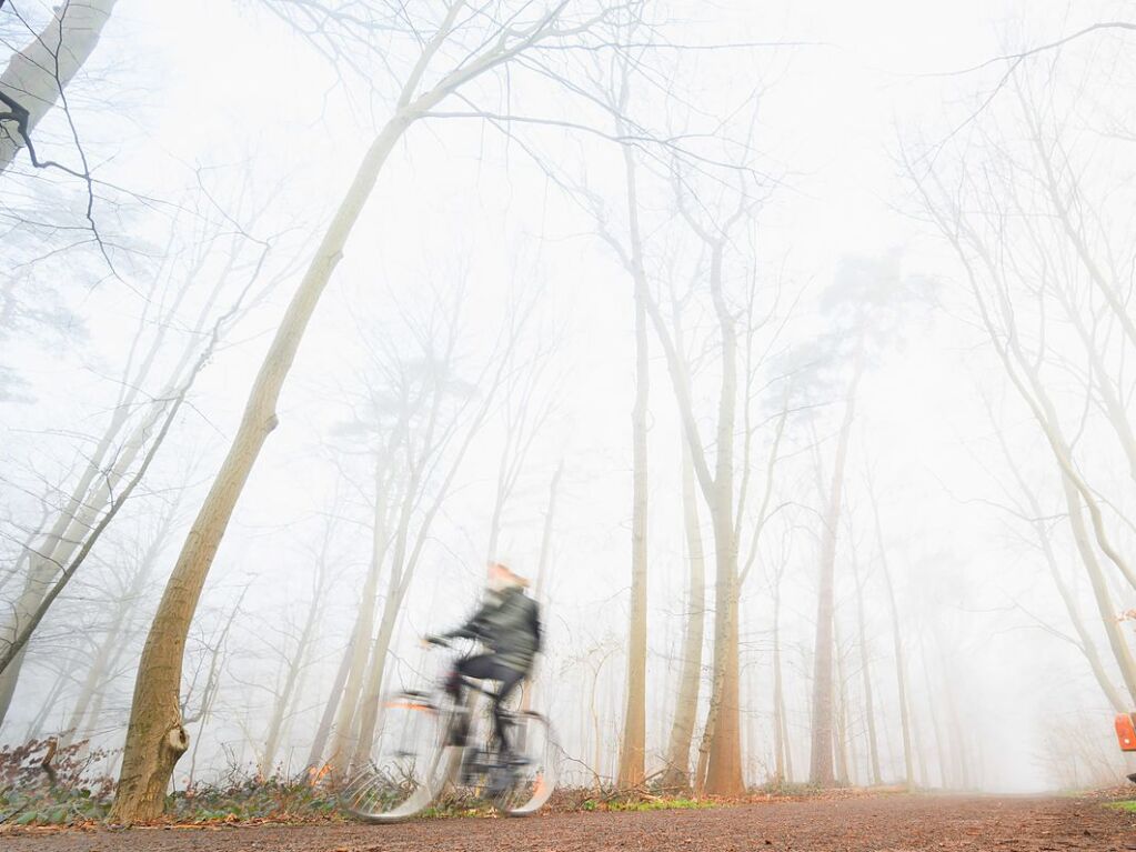 In vielen Teilen Deutschlands herrschte in den vergangenen Tagen morgens Nebel.