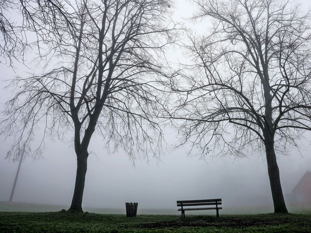 In vielen Teilen Deutschlands herrschte in den vergangenen Tagen morgens Nebel.