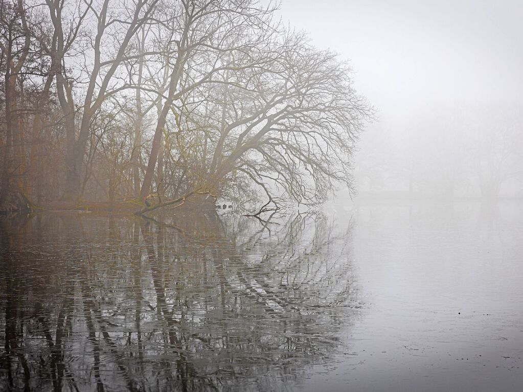 In vielen Teilen Deutschlands herrschte in den vergangenen Tagen morgens Nebel.