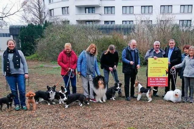 Mehr als 2600 Rassehunde bringen Leben aufs Offenburger Messegelnde