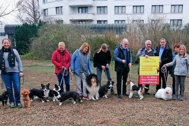 Hunde aus 275 unterschiedlichen Rassen...ssenten finden Rat bei Zuchtverbnden.  | Foto: Winfried Kninger