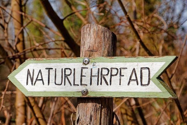 So sorgen ehrenamtliche Naturschtzer seit Jahrzehnten fr ein besonderes Naturerlebnis im Auwald