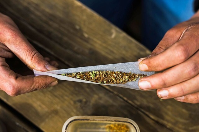 Die Bundeslnder haben Einwnde gegen die Legalisierung von Cannabis.  | Foto: Philipp von Ditfurth (dpa)