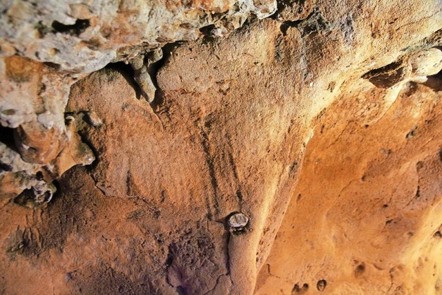 Die feinen Linien in den Hhlen von La Roche-Cotard sind nur schwer zu erkennen.  | Foto: Dorota Wojtczak