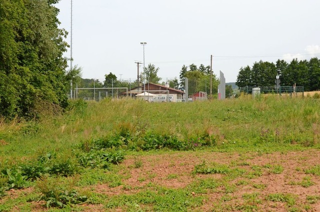 An dieser Stelle soll ein Parkplatz fr den FC Wittlingen angelegt werden.  | Foto: Moritz Lehmann
