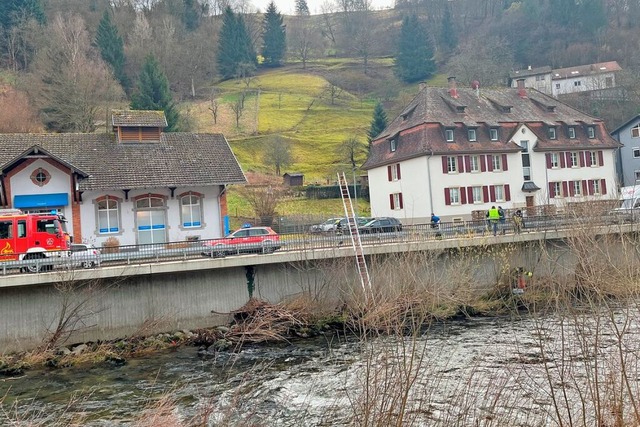 Rettungsaktion der Feuerwehr an der Wi...ine nicht mehr vom Flussufer wegkommt.  | Foto: Sarah Trinler