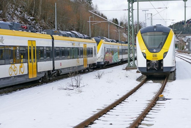 Die Breisgau S-Bahn fhrt ab Montag nicht wie gewohnt (Symbolfoto).  | Foto: Tanja Bury
