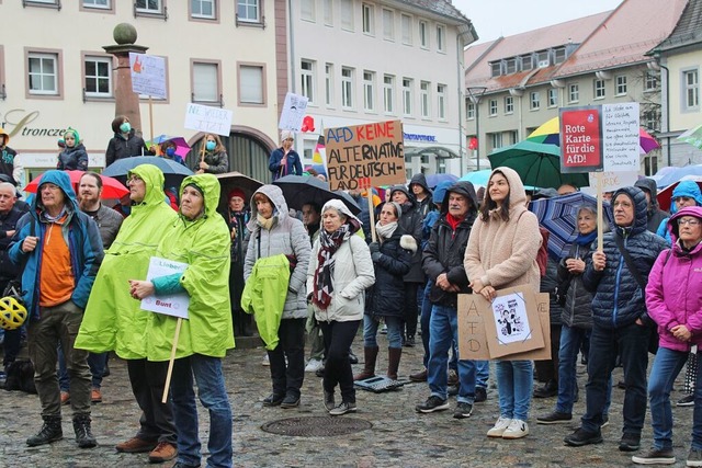 Rund 600 Menschen kamen am Sonntag auf...Emmendinger Marktplatz zur Kundgebung.  | Foto: Annika Sindlinger
