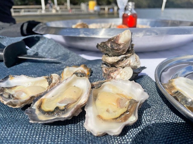 Australische Delikatesse: Frische Sydn...egen nach der Tour bereit zum Verzehr.  | Foto: Michelle Ostwald (dpa)