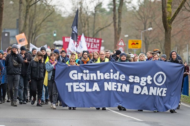 In Grnheide in Brandenburg streiten s...la-Fabrik. Die Gemeinde ist gespalten.  | Foto: Christophe Gateau (dpa)