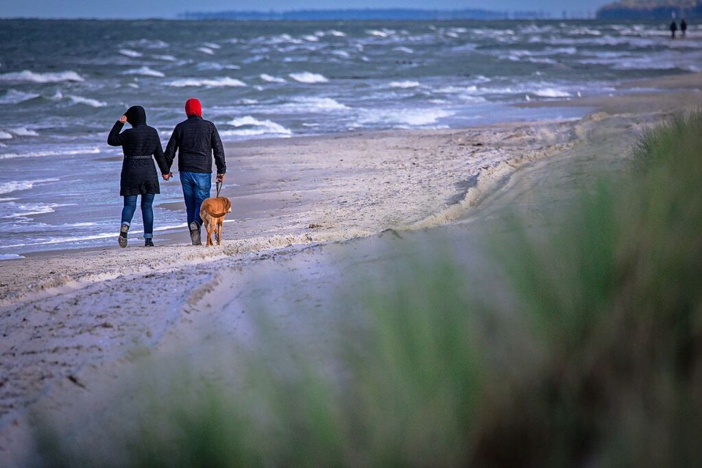 Ein Mann Wollte Seinen Tod Auf Der Ostsee Vortäuschen – Und Kassiert ...