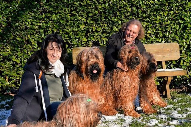 Briard-Zucht: Zwei Mengener haben ihre Herzen an zottelige Hunde verloren