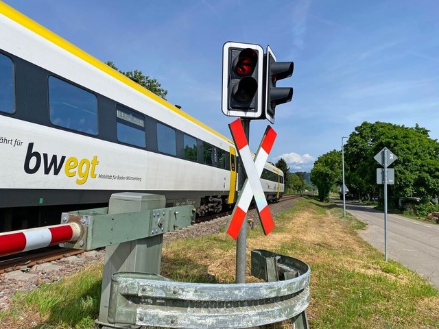 Der Ausbau und die Elektrifizierung der Hochrheinbahn soll 2025 starten.  | Foto: Lisa Petrich