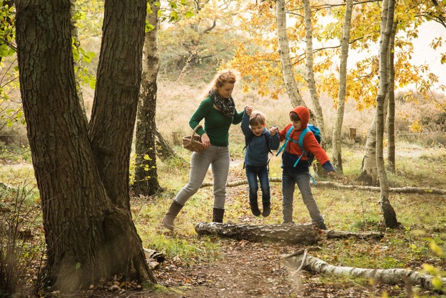 Wandern bietet Kindern die perfekte Kombination aus Spa&szlig; und Abenteuer.  | Foto: Christin Klose/dpa-tmn