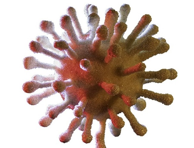 Das Corona-Virus Sars-CoV-2  | Foto: adobe