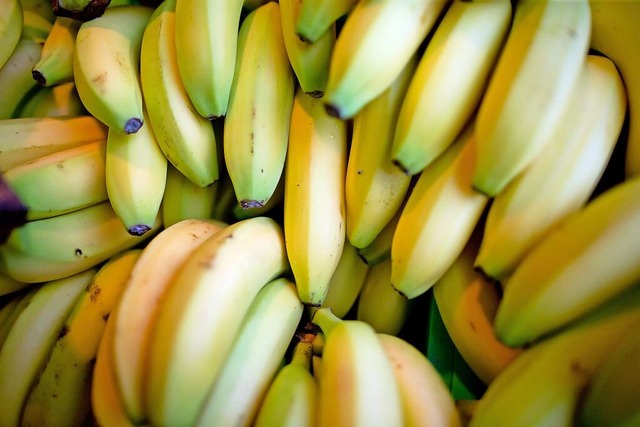 Auf der ganzen Welt wird vor allem eine Bananensorte fr den Verkauf angebaut.  | Foto: Daniel Karmann (dpa)