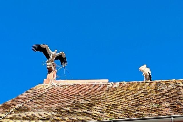 Ein Storchennest auf dem Kreuz der Christuskirche in Efringen-Kirchen ist abgebaut worden