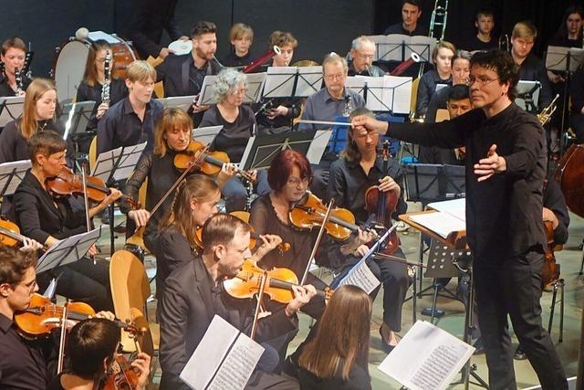 Das generationenbergreifende Projektorchester der Rheinfelder Musikschule