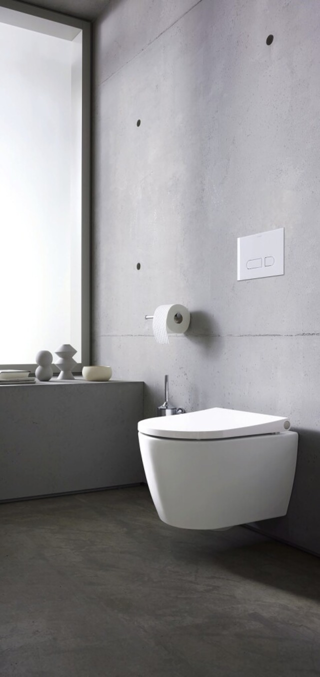 Bei diesem WC der Serie Bento Starck B...vit lsst sich die Klobrille abnehmen.  | Foto: Duravit AG (dpa)