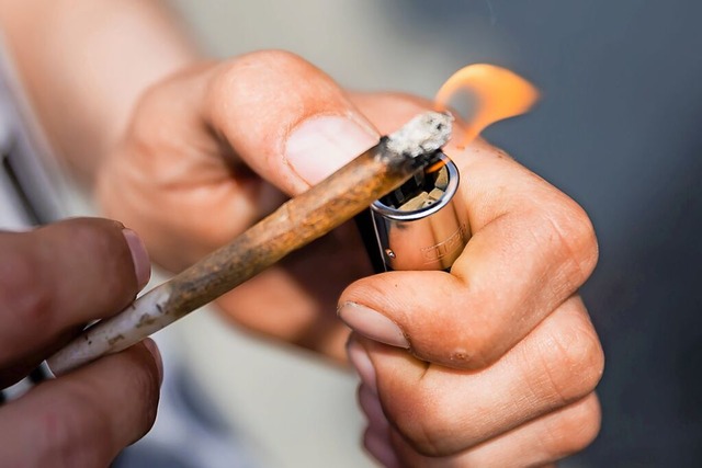 Ab 1. April drfen Erwachsene Cannabis...int mit Medizincannabis entstand 2022.  | Foto: Christoph Soeder,dpa