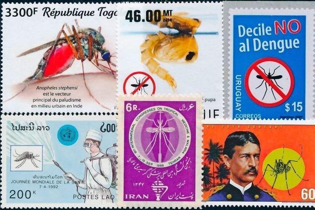 Warum sich Briefmarkensammler in Breisach mit Stechmcken beschftigen