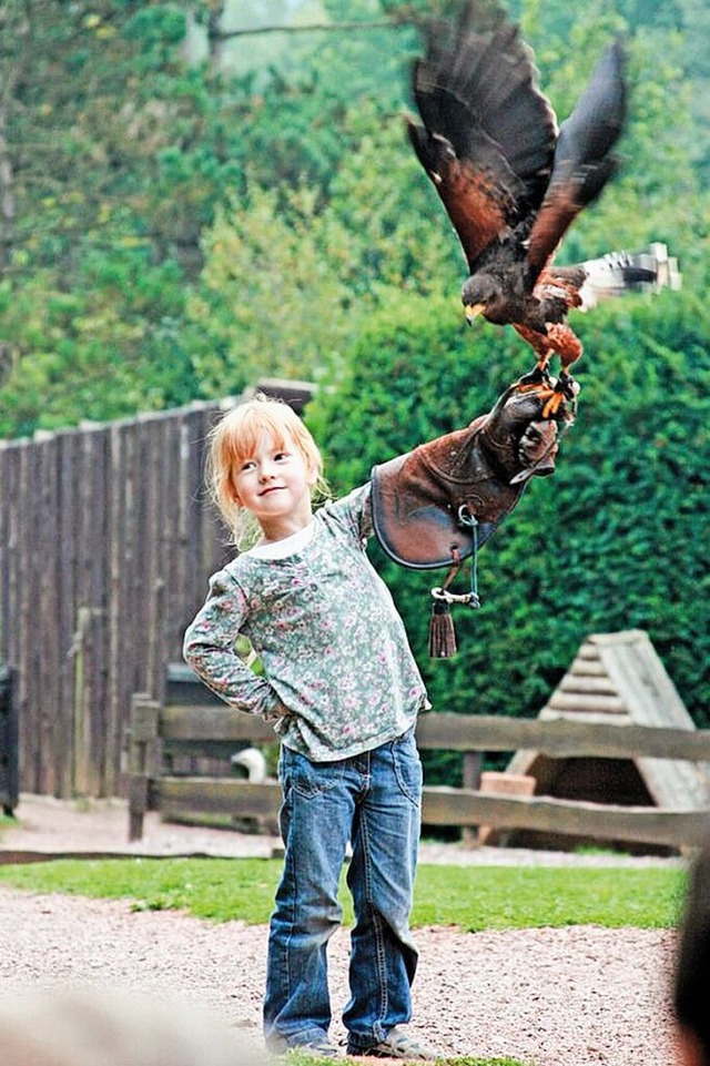 Der Vogelpark Steinen startet in die n...der als Falkner-Nachwuchs assistieren.  | Foto: Vogelpark  Steinen