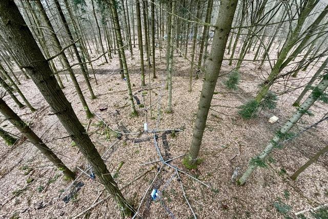 Warum die Freiburger Universitt den Wald mit Sensoren ausrstet